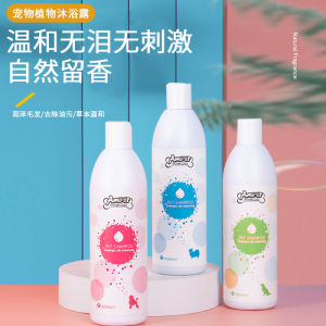 Amor Dog Bathing Shampoo Special Fragrance for Pets Teddy Bichon and Corgi Ideal for Grooming and Hair Protection