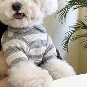Summer Thin Teddy Bichon Poodle Dog Clothes Small Puppies Pomeranian Yorkshire Cat Pet T-shirt