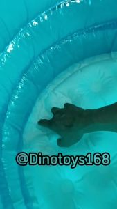 Ollykids  Kolam Renang Bayi 95cm Dengan 5Ring Merk Playground ransparan Motif Kartun Dasar Gelembung