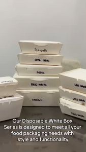 [600 pcs ❗️❗️] LB2 WHITE 2 Division Take Out Meal Box White  Wholesale Disposable