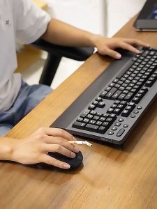 Chổi quét ban thờ - Chồi gàu mini - Chổi vệ sinh mini trên xe ô tô- Chổi gàu vệ sinh máy tính - Chổi đa năng cho các góc ngách khe nhỏ