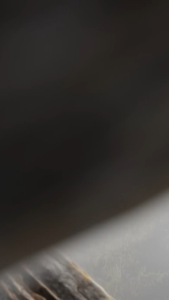 [ Samsung Galaxy Z Fold 7 ] ReadyStock UAG Mouve Magnetic Case