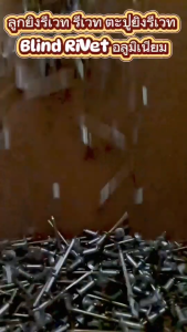 ของแท้ 100% (แบ่งขายเป็นขีด) ตะปูยิงรีเวท ตราคนป่า (เบอร์ 4 เบอร์ 5 เบอร์ 6)