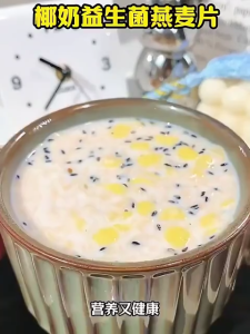 Coconut Milk Probiotic Oatmeal Sarapan Bergizi Oatmeal Probiotik Santan Kelapa Pengganti Makanan Tanpa Tambahan Gula