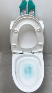 น้ำยาล้างโถสุขภัณฑ์ LOGESKIS พลังทำความสะอาดสูง ไม่ต้องขัด ฆ่าเชื้อ 99.9%น้ำยาล้างห้องน้ำ น้ำยาทำความสะอาดห้องน้ำ ช่วยขจัดคราบแบคทีเรีย พลังทำความสะอาดสูง