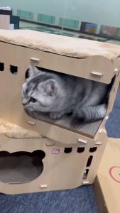 Giường gỗ lắp ghép tặng kèm đệm cho mèo Chuồng mèo lắp gắp ghép đơn giản Giường cho mèo kích thước 45x30x28cm