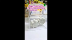 Souvenir Set Lukis Gypsum Dengan Wadah Plastik Painting Kit Akrilik FREE STIKER