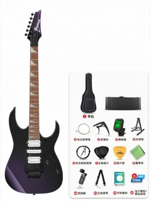 Ibanez | Beginner to Advanced Dual Tremolo Electric Guitar Set