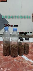 BGRSTORE-MAGGOT FRESH UMPAN MANCING/PAKAN UNGGAS/REFTIL 200G
