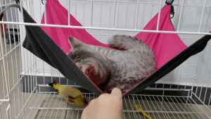 GreenPets Cat Bed Cat Hammock Hanging Bed Cat Cage Fleece Cotton Cat Cage Pet Hammock