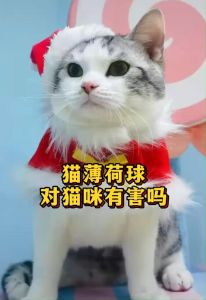 Rotatable Meow Design Cats Grass Mint Catnip Balls Snacks Treats Rotating Pets Fun Toys Mainan Makanan Kucing 猫零食