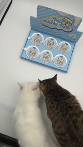 Natural Complete Pet Snacks Food Cat Snacks MilkshakeHigh-Protein Chicken Goat Milk 50g Pet Supplies Cats Treat Easy to Digest Essential Pet Snacks Food