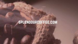 Splendour Coffee Grand Summit of Wonders Blend Roasted Beand