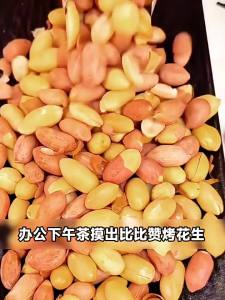 BIBIZAN | Đậu Phộng Rang Ít Dầu Gia Vị Ngũ Vị