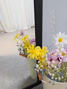 Full-length Wall Hanging Or Freestanding Large Mirror