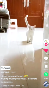 REMOV Obat Tetes Urinary Susah Pipis Untuk Kucing Dan Anjing 10ml