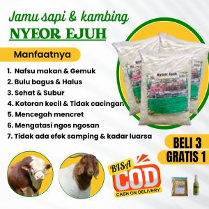 Jamu Penggemuk Sapi kambing Nyeor Ejuh Extra Gula Menambah Nafsu Makan Tinggi Dan Bobot Bertambah