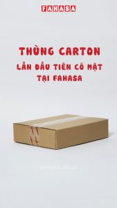 Combo 5 Thùng Carton Đóng Hàng 30 x 20 x 5 cm