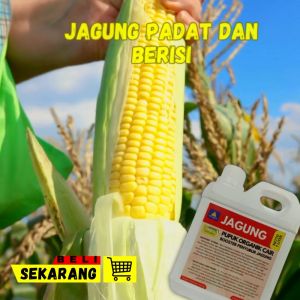Pupuk Jagung Terbaik Booster Pelebat Buah Jagung Obat Pembesar Buah Jagung Pupuk Cair Pelebat Jagung