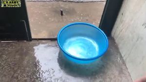 Máy Thổi Bụi Quân Đội - Hàng Nội Địa Cao Cấp - Điều Chỉnh 6 Cấp Độ - Bảo Hành 6 Tháng