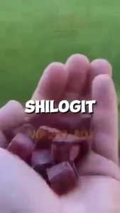 Halal Shilajit Gummies Gold Grade Pure Himalayan Shilajit Fulvic Acid Authentic Energy & Immunity Boost