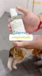 Petcho🐶แชมพูสุนัข แชมพูสัตว์ลี้ยง ออร์แกนิค อ่อนโยน ทำความสะอาดอย่างล้ำลึก เพิ่มความชุ่มชื้น ต่อต้านวัย Dog Shampoo