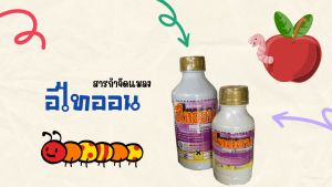 อีไทออน สารกำจัดแมลง กำจัดไร เพลี้ยอ่อน เพลี้ยกระโดด หนอนชอนใบ 500ml-1000ml