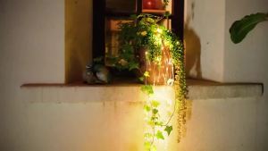 Outdoor Solar Silvery Wire Light 8 Lighting Mode Christmas Waterproof Fairy String Lights for Garden Camping Wedding Decoration