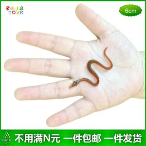 Artificial Snake Kindergarten Kids Toy Snake Small Size Mini Simulated Snakes Miniature Green Snake White Snake Fake Snake Animal Model