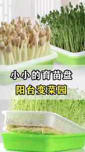 Germination Sprouting Tray/Microgreens Seed Starter Tray/Plants Seedling Germination Tray Net Bottom Nursery /Hydroponic