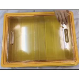 [MY KITCHEN] Yellow Cake Tray Without Cover Plastic Cake Tray Bread Tray Bakery Tray Food Tray Container Applelady Yellow Tray Cover