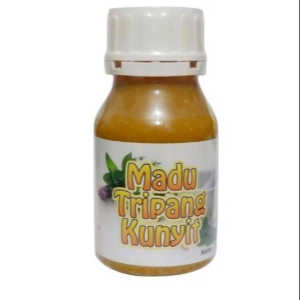 Madu Tripang Kunyit Asam Lambung