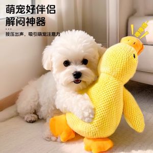 ของเล่นสุนัข Amour Plushie ที่รับประทานได้ ทำจากยาง พลาสติก พลาสติก PP พื้นผิวแบบนุ่ม แหล่งกำเนิดจีนแผ่นดินใหญ่