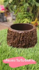 กระถางลายเปลือกไม้ SIZE S จัดต้นไม้ จัดสวน แต่งสวน