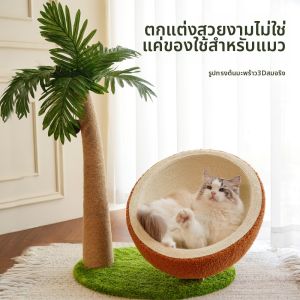 Compact Floor-Saving Cat Climbing Frame Stable Wooden Toy Enrichment Scratching Board