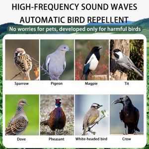 No birds within10000 meters Solar Energy bird repellent outdoor Ultrasonic ip65 level waterproof penghalau burung merpati 1S drive away all birds Bird Repellent pigeons repellent crow repellent 2024新驱鸟神器 赶鸟神器 防鸟神器