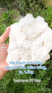 Cụm tinh thể mầm thạch anh