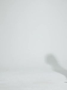 alo yoga แขนสั้นฤดูใบไม้ผลิฤดูร้อนยุโรปและอเมริกา T แฟชั่นผู้หญิง เสื้อวิ่งคอกลมแบบสบาย ระบายอากาศได้ดี