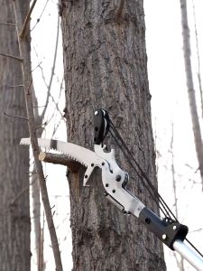（3.5M/5.5M/6.5M/7.5M）High Branch Pruning Shears Saw Telescopic High Altitude Scissors Tree Cutter gergaji dahan pokok