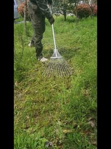 KAISER คราดหญ้า คราดถากหญ้า15ฟัน คราดเหล็ก ปรับระดับ คราดเหล็กปรับระดับ พร้อมด้าม ผลิตจากสเตนเลสสตีลคุณภาพสูง แข็งแรง