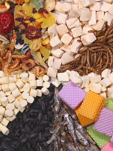 BUCATSTATE Premium Hamster Treats & Supplements Collection