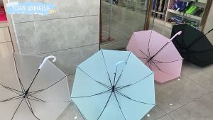 Payung Korea Transparan Lipat Polos & Payung Golf Jumbo Besar Otomatis