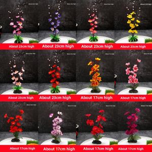 Hotel Dining Plate Sushi Decoration Creative Cuisine Decorative Dish Restaurant Ornament Plate Style Japanese Western Cuisine