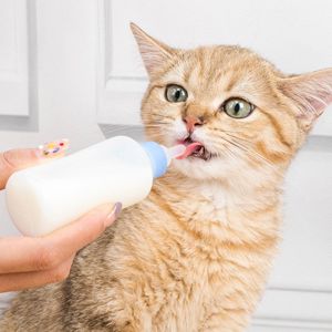 60ml Pet Feeder: A Comprehensive Guide