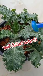 ฝักบัวรดน้ํา ใส่กับขวดน้ําอัดลม น้ําดื่มที่มีเกลียวสูง 5 ตัว/แพ็ค