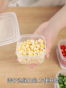 COLOGO 🥇 Frozen Storage Container Portable Food Fruit Meat Compartment Storage Box Bekas Peti Sejuk