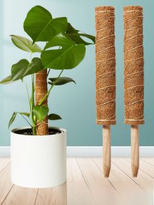 Fixed Brown Column Support Pole for Climbing Plants Coconut Fiber Gardening Tool Green Ivy Plant Stand Palms Garden Accessories