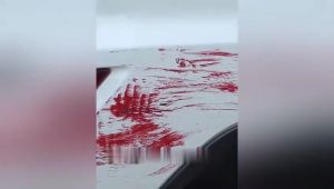 3s Scratch Remover for Car and Motorcycle: Simple and Fast Scratch Removal