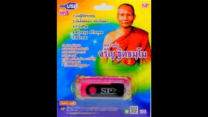 mp3 บทเทศนาธรรม หลวงพ่อจรัญ ฐิตธัมโม ชุด2 USB Flash Drive