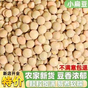 Farm Fresh Dried Mung Beans